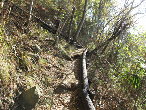 20151209hike (21)